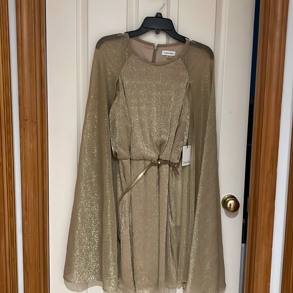 Never worn NWT light gold shimmery dress with back zipper.
